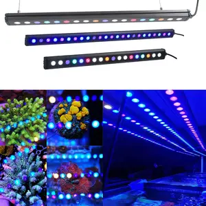Reef de aquário com led, luz de led para aquário, reef, iluminação de led