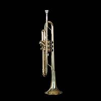 Factory Direct Sale Custom Cheapest High Quality Professional Brass Bb Trumpet Instrument