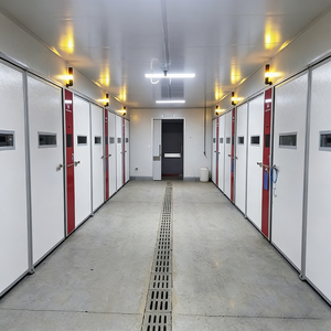 Nouvel incubateur entièrement automatique en acier inoxydable <span class=keywords><strong>de</strong></span> type boîte grande capacité pour l'éclosion des œufs <span class=keywords><strong>de</strong></span> poulet, d'oie, <span class=keywords><strong>de</strong></span> <span class=keywords><strong>canard</strong></span> et d'autres oiseaux (38400 œufs) - Product Image 3