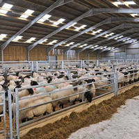 Bâtiment Agricole Préfabriqué en Structure Acier, Étable à Vaches, Porcherie, Abri pour Moutons/Bovins/Laitiers/Chèvres, Hangar Agricole, Design Moderne, Garantie 1 An