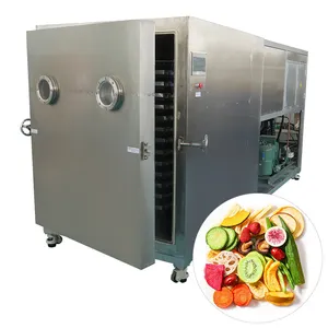 Liofilizador Food Freeze Vacuum Dryer vegetable Freeze Dried Hibiscus Flowers Vacuum Freeze Dry Machine