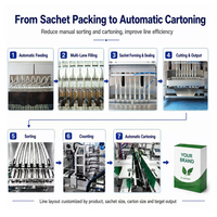 Ligne de machine d'emballage et de cartonnage entièrement automatique multi-pistes pour bâtonnets glacés, sucettes glacées, jus, boissons, gelées et sachets de liquides