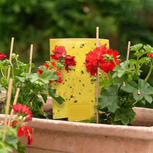 10*20CM beidseitige gelbe klebrige Mücken fallen Innen-und Außen wasserdichte Mücken Klebrige Papier falle Sprüh klebe bretter - Product Image 5