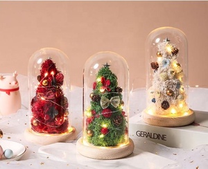 TC Wholesale Led <strong>Lights</strong> Star Preserved Rose Flower Moss Plants Christmas Gifts Decorations Supplies Christmas <strong>Tree</strong> <strong>in</strong> Glass Dome - Product Image 1