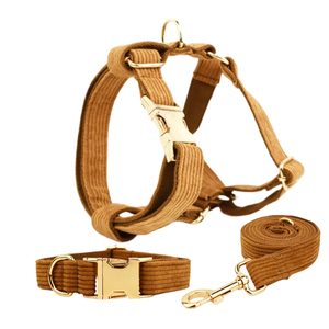 Collier et laisse pour chien en velours côtelé, design classique PUPE, accessoires pour chiot, harnais de promenade, ensemble personnalisable avec logo, vente en gros - Product Image 1