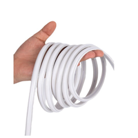 Bande LED COB AC 220V 110V avec prise, couverture en silicone sans points, ruban étanche 3000k 4000k 6500