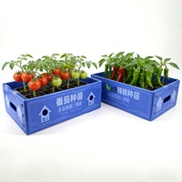 Boîte à semis en PP ondulé, directement de l'usine, écologique, recyclable, robuste, pliable, imperméable, pour pépinière agricole