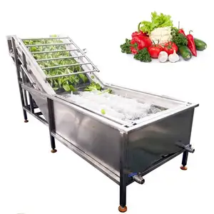 ultrasound cleaner meat washer vegetable and fruit drum vegetable washer fruit washing machine and backing