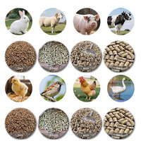 Petite machine de fabrication de granulés pour animaux de ferme (volailles, poulets, poissons, porcs, chèvres, bovins, chats) - Moulin à granulés pour aliments