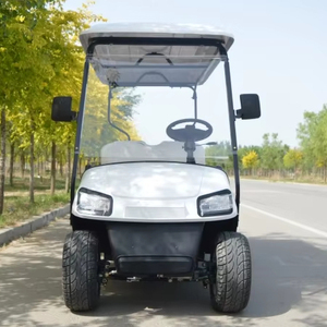 Voiturette de golf électrique BRT MINI 2-4-6-8 places, véhicule électrique polyvalent pour le golf et la patrouille de sécurité 2026 - Product Image 1