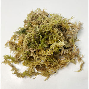 Materiale per Terrario di Rettili e Tartarughe in Muschio di Sfagno Essiccato Compresso Ecologico Rettangolare Sicuro per Animali Domestici - Product Image 6