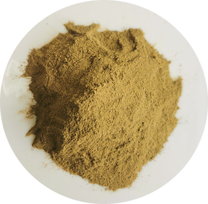 Bacopa monnieri brahmi EXTRACTO DE portulaca flavonoides 3.8% Herba Portulacae - Product Image 4