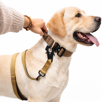 Collar de Perro de Nailon Duradero de 4 cm con Colores Personalizados, Hebilla Metálica de Liberación Rápida, Asa para Correa, para Entrenamiento al Aire Libre, Lunong