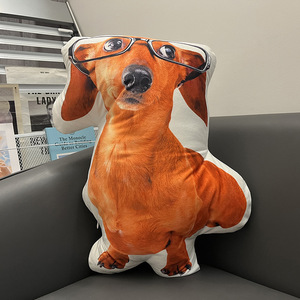 Almohada de felpa para niños Diy con forma de animales estéticos hecha a mano para sala de estar, almohadas decorativas personalizadas para cama, dormitorio, sofá de casa - Product Image 2