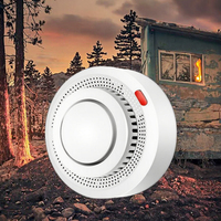 Nouvelle Arrivée 2025 – Détecteur de Fumée et Capteur de Mouvement Wi-Fi Portable Sans Fil en Plastique Compatible avec l'Application Tuya Smart Life (Modèle GIS SM-02)
