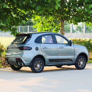 Voiture électrique compacte 4x4 à 5 places, nouvelle énergie, pour adultes, à prix abordable - Product Image 3