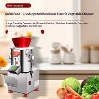 Robot culinaire électrique multifonction en acier inoxydable, hachoir à légumes commercial, hachoir à viande, mélangeur d'aliments pour volailles, hachoir à viande hachée