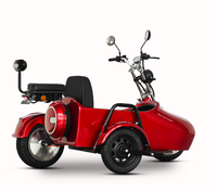 Vélo de banlieue à 3 roues avec side-car, moto électrique, batterie au lithium, 60V 2000W, vitesse maximale 45 km/h, autonomie 60 km, certifié EEC DOT