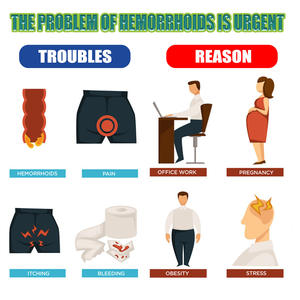 South Moon - Cápsulas de Hierbas Naturales para el Tratamiento de Hemorroides, 7 Piezas por Caja, Alivio del Dolor <span class=keywords><strong>Anal</strong></span>, Prolapso y Prurito - Product Image 4