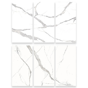 Modern stil 600x1200mm beyaz porselen kumtaşın fayans asit ve Firebrick dayanıklı 60x120 cm seramik yer karosu - Product Image 4