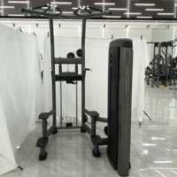 Station de dips professionnelle avec barre de traction – Tour de musculation robuste de qualité commerciale pour la calisthénie avec poids et l'entraînement au poids corporel