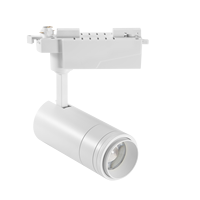 Projecteur LED 30W pour tableaux de musée, éclairage sur rail pour peintures