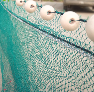 Filet de pêche à la senne multifilament <span class=keywords><strong>en</strong></span> PEHD pour attraper du poisson, fait de sardines <span class=keywords><strong>en</strong></span> PEHD - Product Image 2