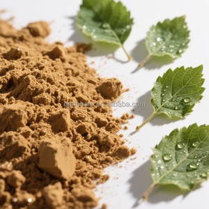 100% doğal yüksek saflıkta beyaz dut yaprağı ekstresi DNJ 2% gıda kozmetik sınıf bitki tozu formu mevcut şişe davul Can - Product Image 3