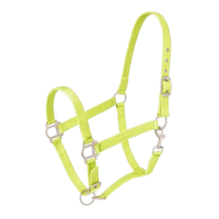 Têtière en nylon pour cheval – Équipement équestre – Plusieurs couleurs disponibles au choix – Halter équestre