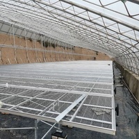 Banc roulant en treillis métallique pour lit de semence de pépinière de serre Offre Spéciale Table de culture intérieure pour banc roulant agricole