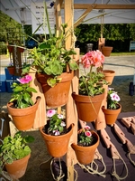 Origineller Garten-Holz-Vertikal-Hängeblumentopfhalter aus Terrakotta, Außen- und Innenbereich-Pflanzenhalter