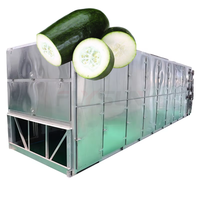 Chinese leverancier grote capaciteit wintermeloen mesh-band drooglijn voor gedroogde abrikozen en fruit
