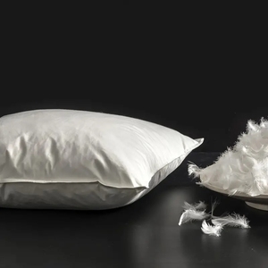 Morbido e confortevole cuscino cuscino nucleo inserto cuscino <span class=keywords><strong>per</strong></span> la camera da letto un soggiorno, divano schienale in cotone bianco <span class=keywords><strong>piuma</strong></span> d'oca - Product Image 5