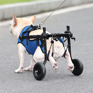 Nuovo prodotto per addestramento e comportamento per animali domestici regolabile eco-friendly per cani e gatti anziani - Product Image 5
