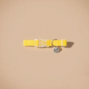 Collar de Perro Ajustable Premium Talla L, Impermeable, Duradero, Sólido, Simple, Elegante, de Lujo, con Diseño Personalizado y Recubrimiento de PVC - Product Image 1