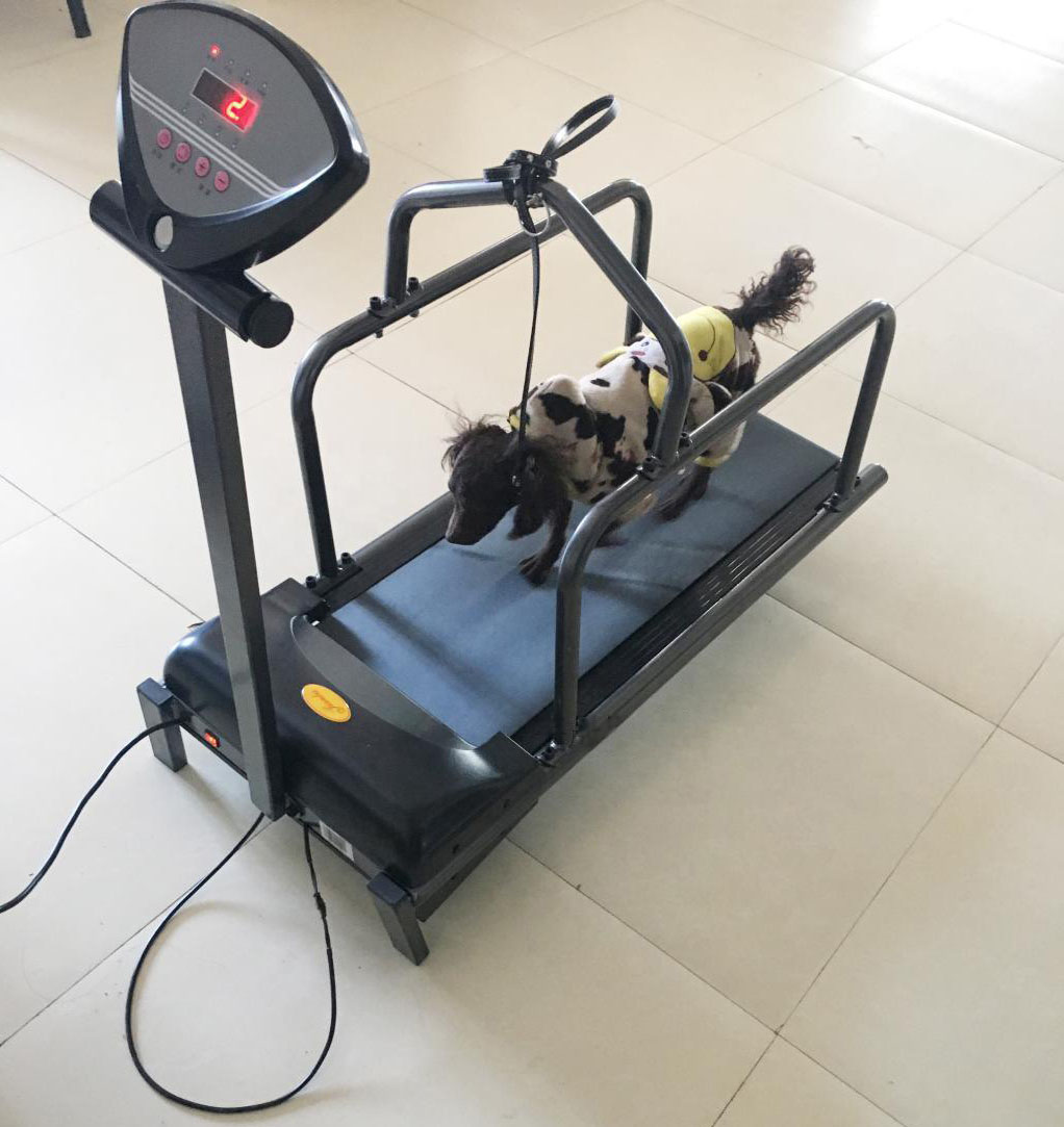 Дешевая беговая дорожка для собак, тренажер для бега, оборудование для упражнений собак