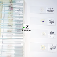 100pcs Set Microscope Prepared Slides Zoology Animal Histology Prepared Slides