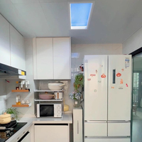 SUEZ Hight CRI Lamp Fenêtre encastrée Blue Sky Rooflight Faux LED Ceiling Virtual Skylight Panel Light
