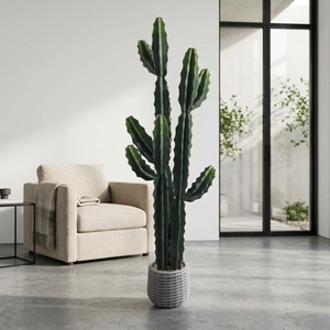 Plantes artificielles en pot de cactus résistantes aux intempéries, fourniture directe d'usine fiable, pour la <span class=keywords><strong>décoration</strong></span> intérieure et de <span class=keywords><strong>balcon</strong></span> - Product Image 4
