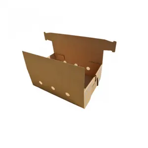 tapeless closure cartons with vent holes and strong handles for fresh meat poultry transportation