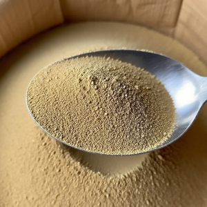 HARGA TERBAIK kualitas makanan alami bubuk ekstrak buah Premium Makanan aditif kemasan Drum - Product Image 1