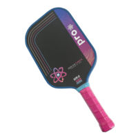 Raquette de pickleball Pro Series 3 Project Flamingo 16 mm sans bordure, tendance, toutes saisons, certifiée USAPA, nid d'abeille haute performance