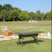 Barbecue portable au charbon de bois, type tiroir, idéal pour les voyages en plein air, le camping, les pique-niques et le jardin