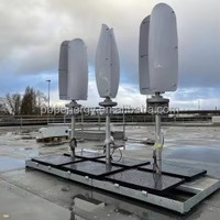 Système hors réseau CE ISO RoHS 500W 1kw 2kw 3kw Turbine éolienne à axe vertical en forme de tulipe Générateur à faible bruit pour toit de maison Jardin