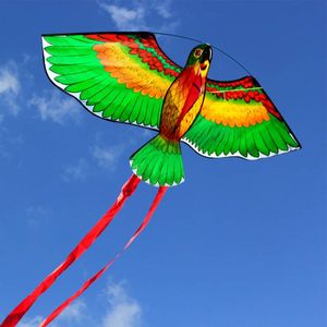 Papegaaienvliegers en vliegers in de vorm van een papegaai in verschillende kleuren - Product Image 4