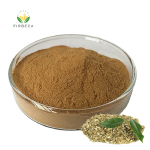 Extracto de té Mate de Yerba Soluble en agua, 100% orgánico puro, a granel, 10:1 - Product Image 1