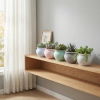 Pots en céramique pour plantes succulentes, pots à fleurs pour décorations de jardin, intérieur/extérieur, prix de gros, design