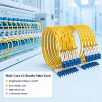 Kabel Patch Fiber Optik Aktif LC/UPC Bundle Multi-Core SM LSZH dengan Jumlah Inti yang Dapat Disesuaikan untuk Jaringan Akses FTTH 1m-100m