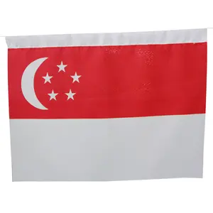 Marocco messico maldive israele Honduras Stock a buon mercato 90x150cm poliestere francia bandiera nazionale