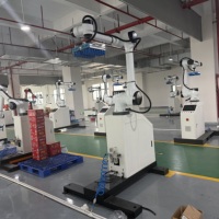 Vente directe d'usine, robot de palettisation à haute efficacité, performance stable pour la palettisation de cartons